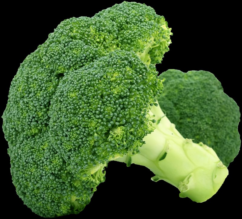 Ethical Eating